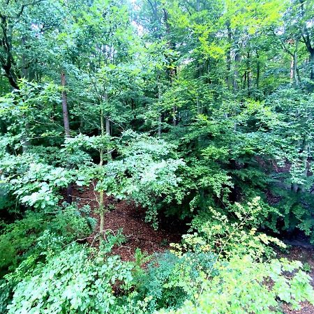 Forest - 23 Marca Sopot By Grand Apartments Zewnętrze zdjęcie